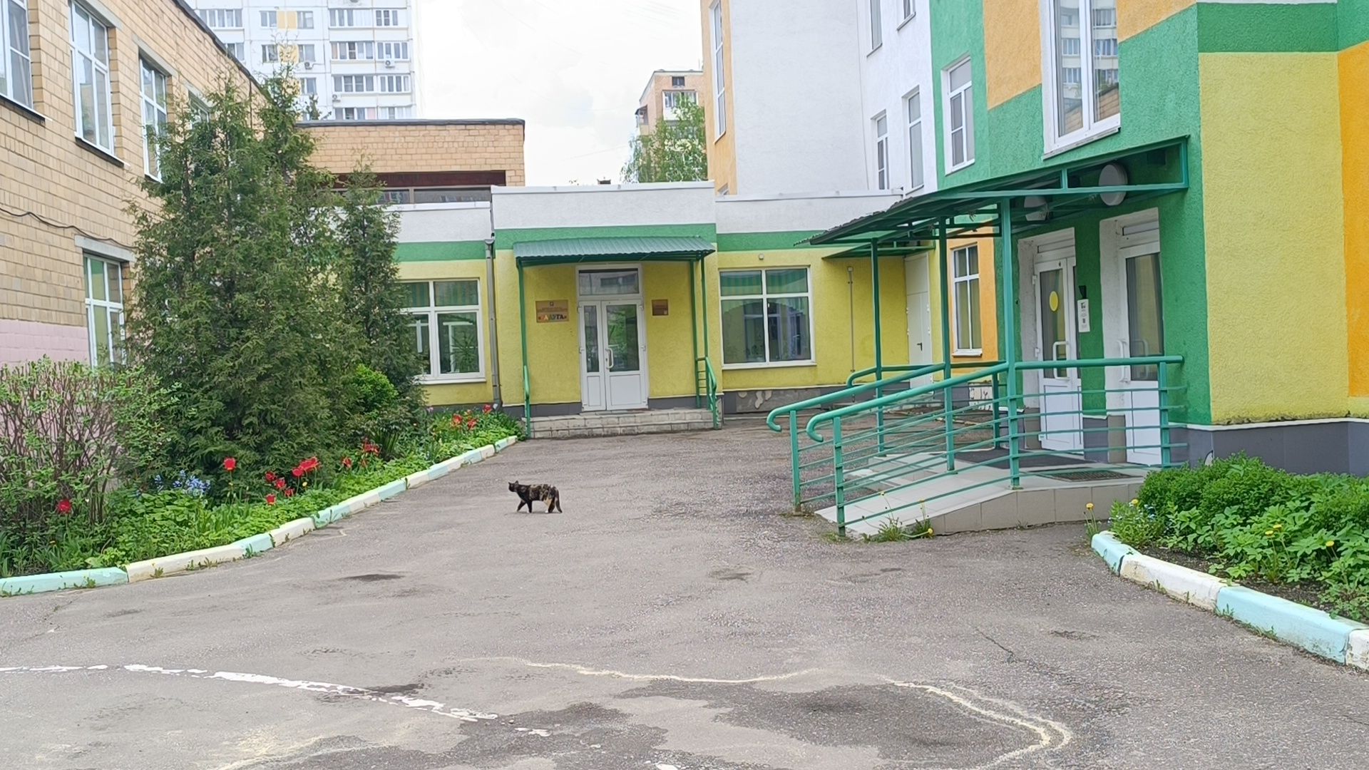 спорт, лобня, детский  сад,