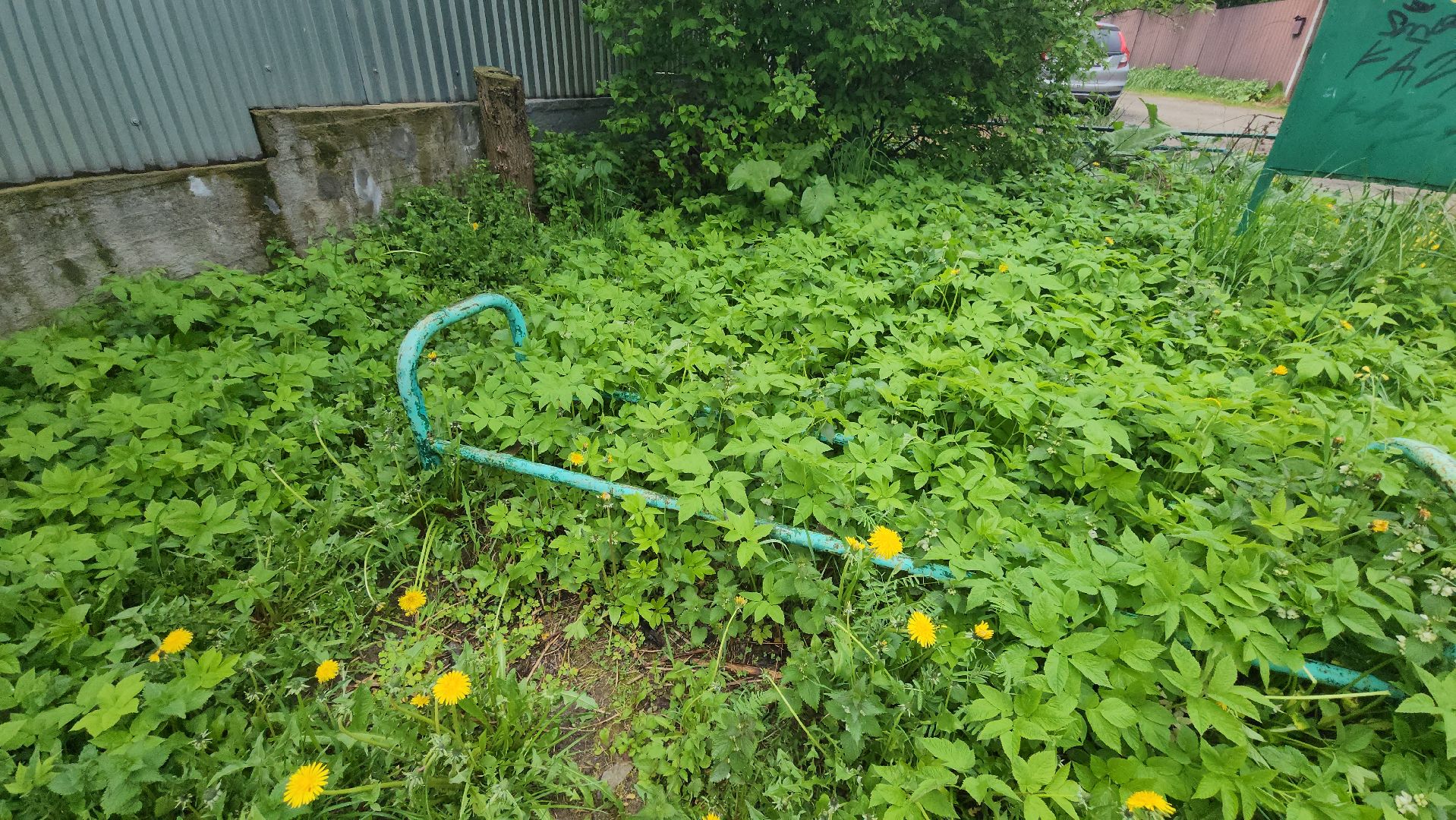 глава городского округа люберцы владимир волков, выездная администиация, просьба жителей, детская игровая площадка,