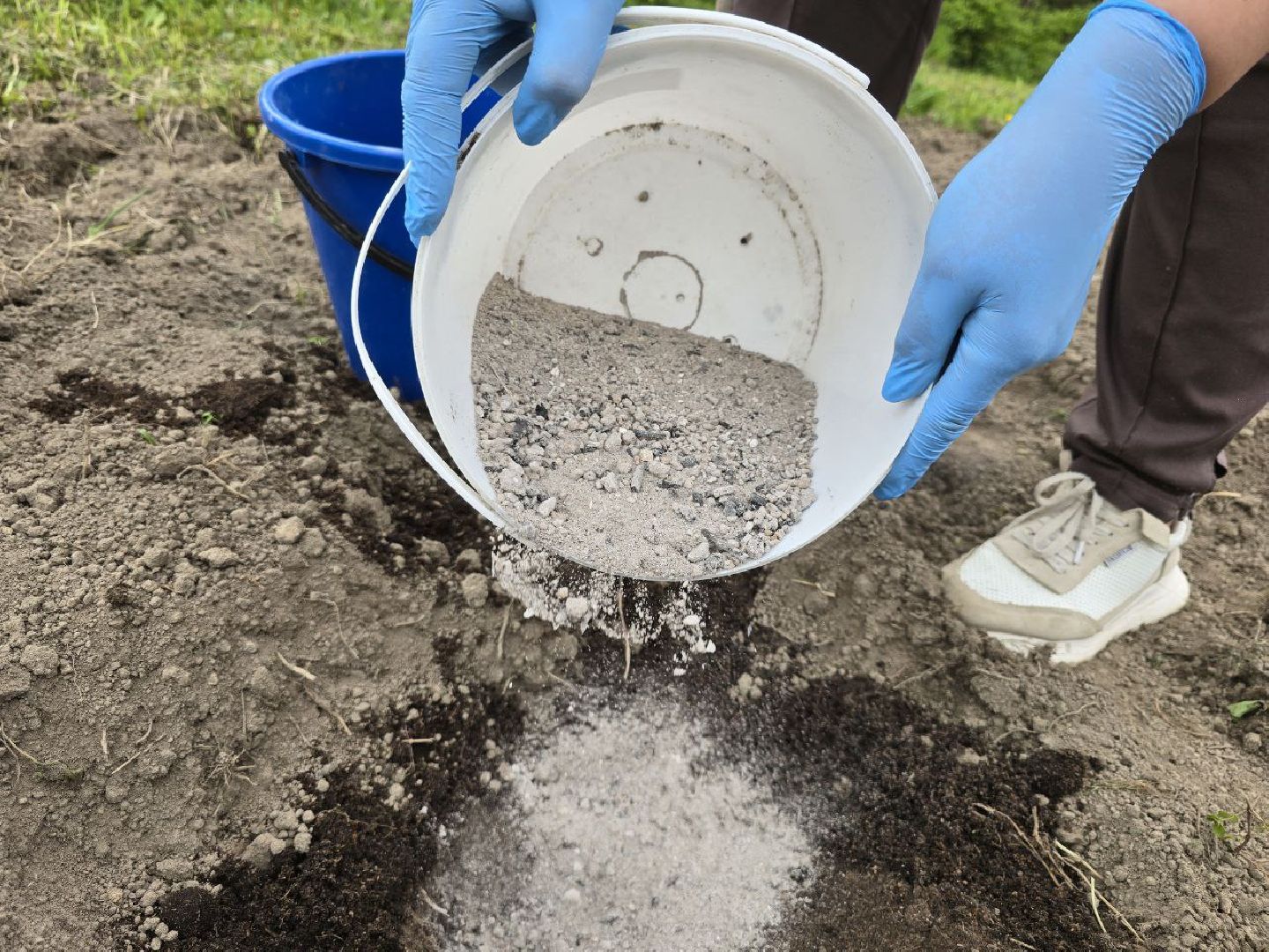 можайск, можайский муниципальный округ,  подмосковье, овощи-гиганты, урожай, гигантские овощи, дачный сезон,