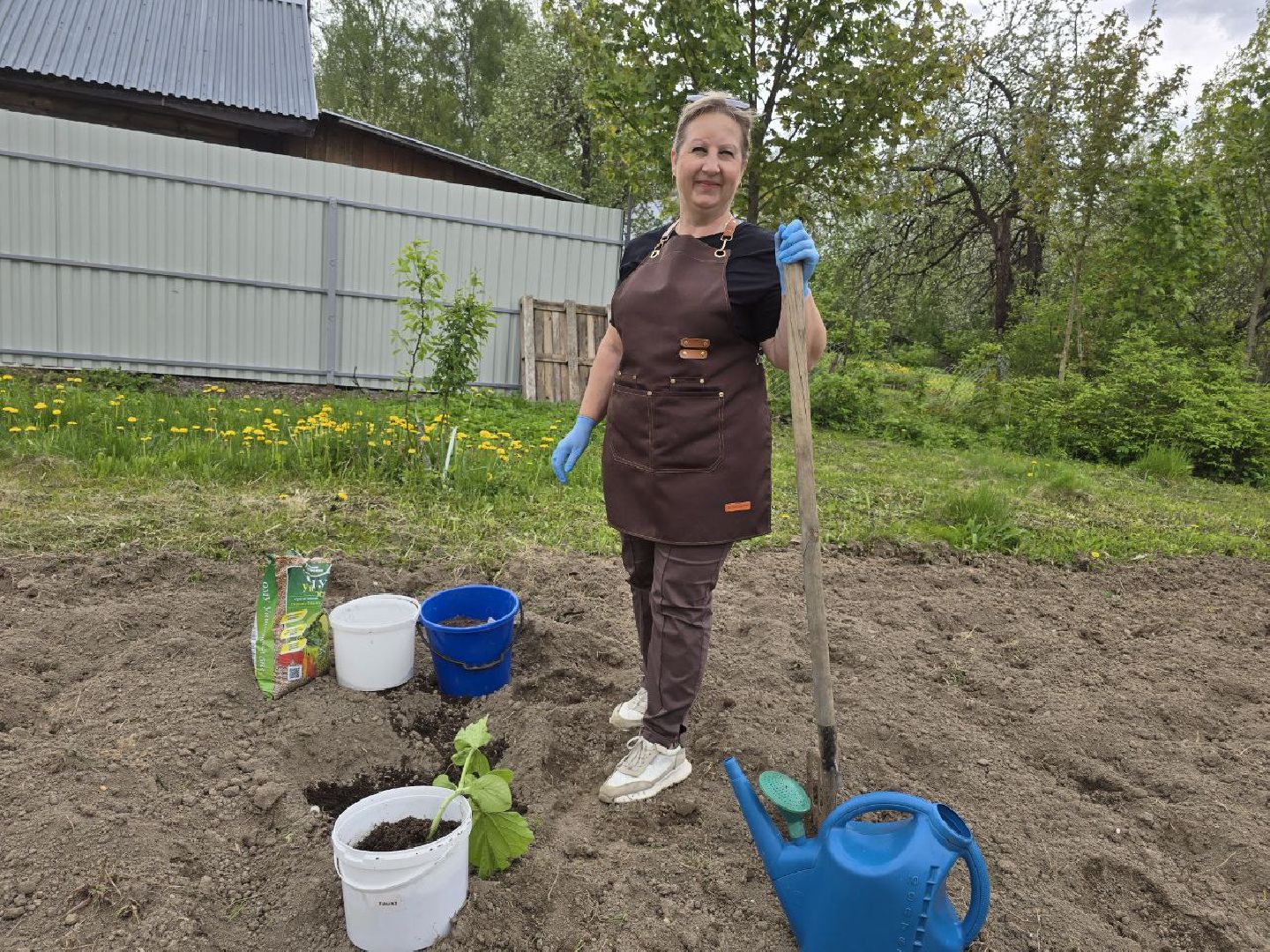 можайск, можайский муниципальный округ,  подмосковье, овощи-гиганты, урожай, гигантские овощи, дачный сезон,