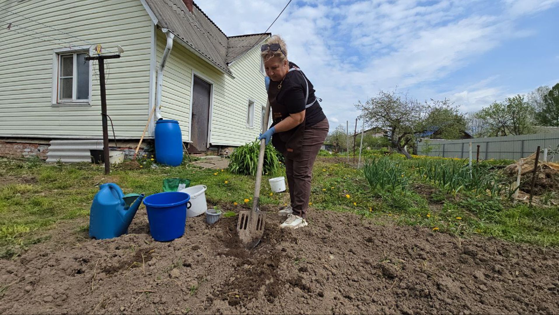 можайск, можайский муниципальный округ,  подмосковье, овощи-гиганты, урожай, гигантские овощи, дачный сезон,