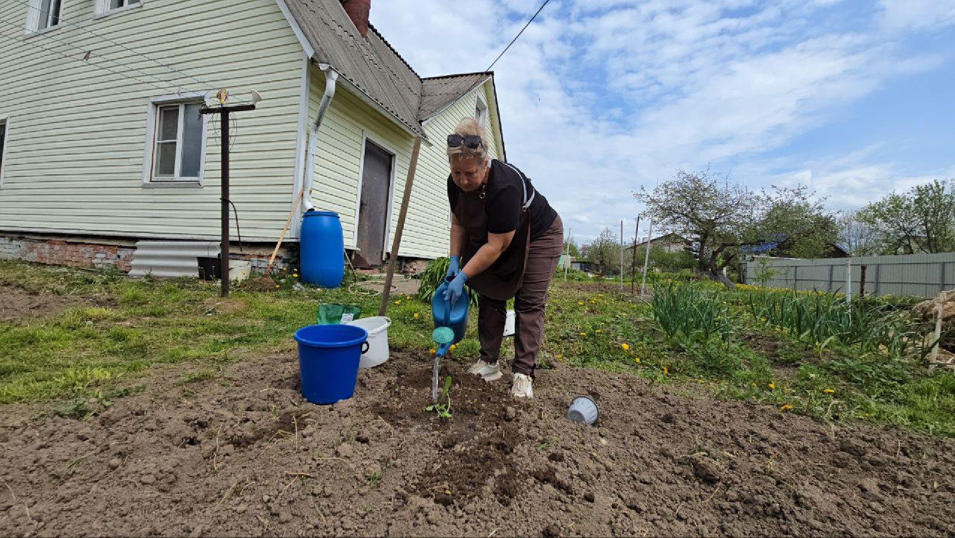 можайск, можайский муниципальный округ,  подмосковье, овощи-гиганты, урожай, гигантские овощи, дачный сезон,