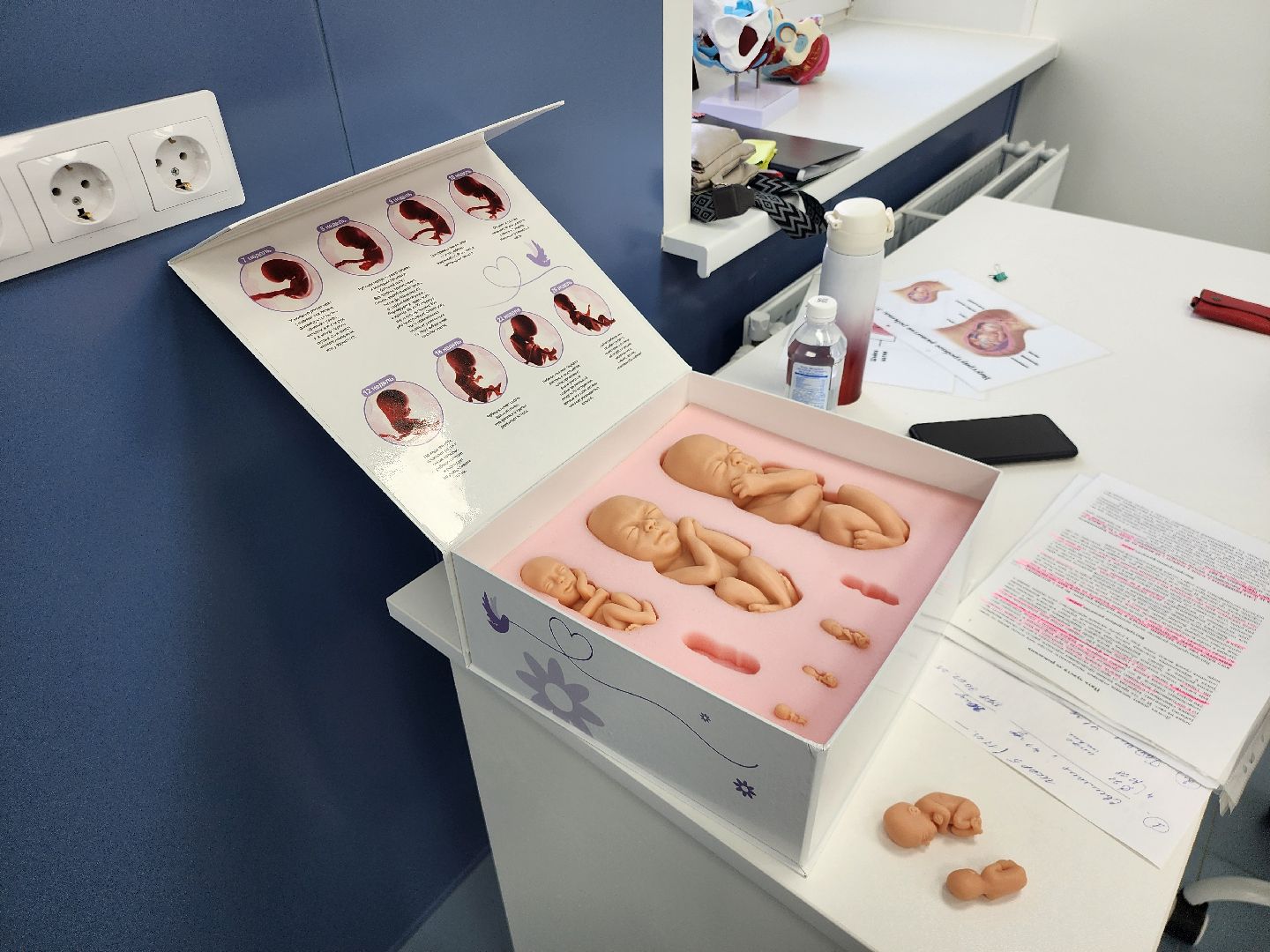 Истра, Медицина, Роды,