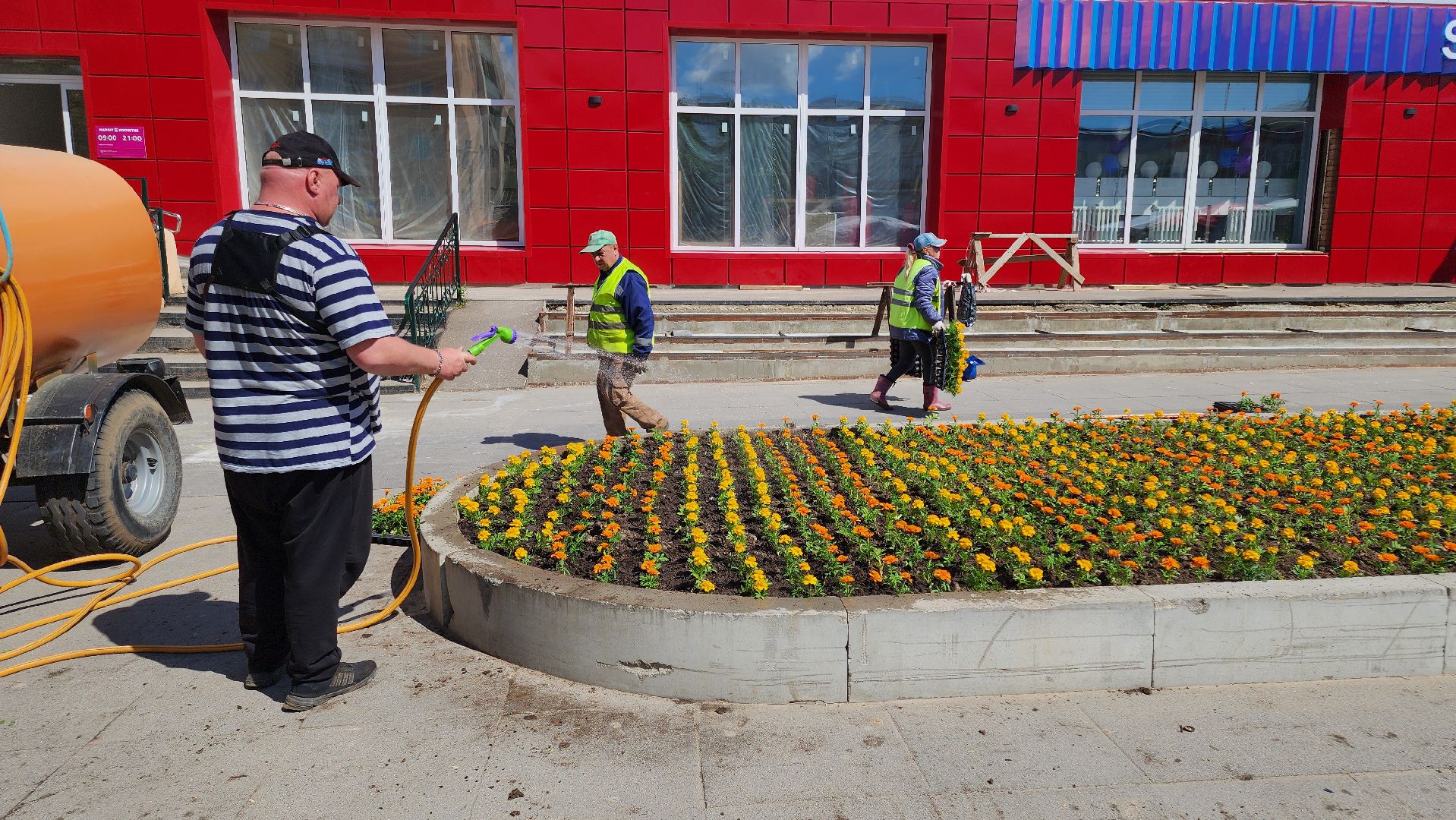 кашира, благоустройство, озеленение, посадка цветов, петуньи, бархатцы,