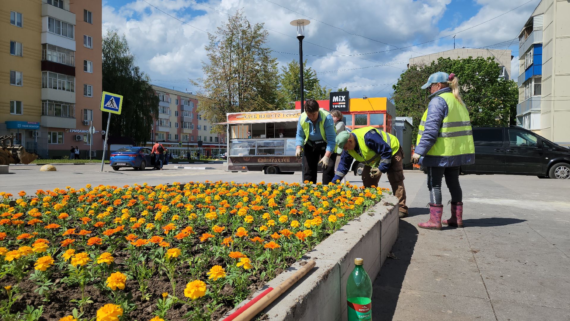 кашира, благоустройство, озеленение, посадка цветов, петуньи, бархатцы,