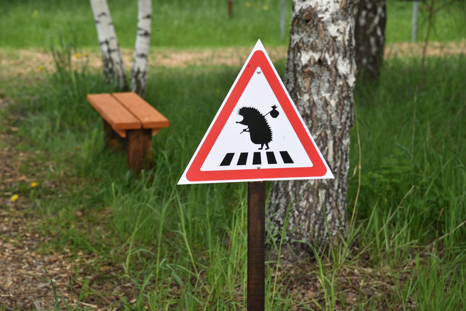 лотошино, шилово, зоопарк, зоопространство,