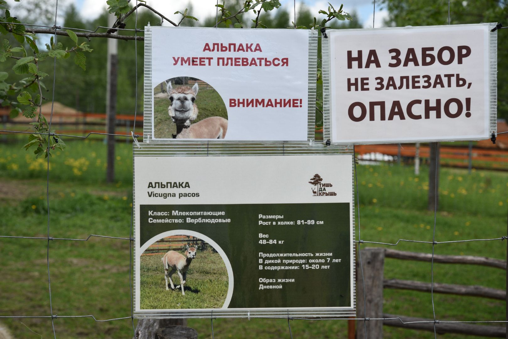 лотошино, шилово, зоопарк, зоопространство,