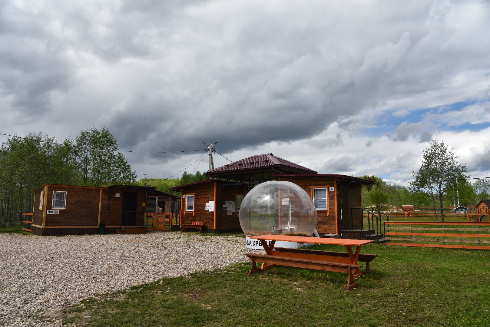 лотошино, шилово, зоопарк, зоопространство,