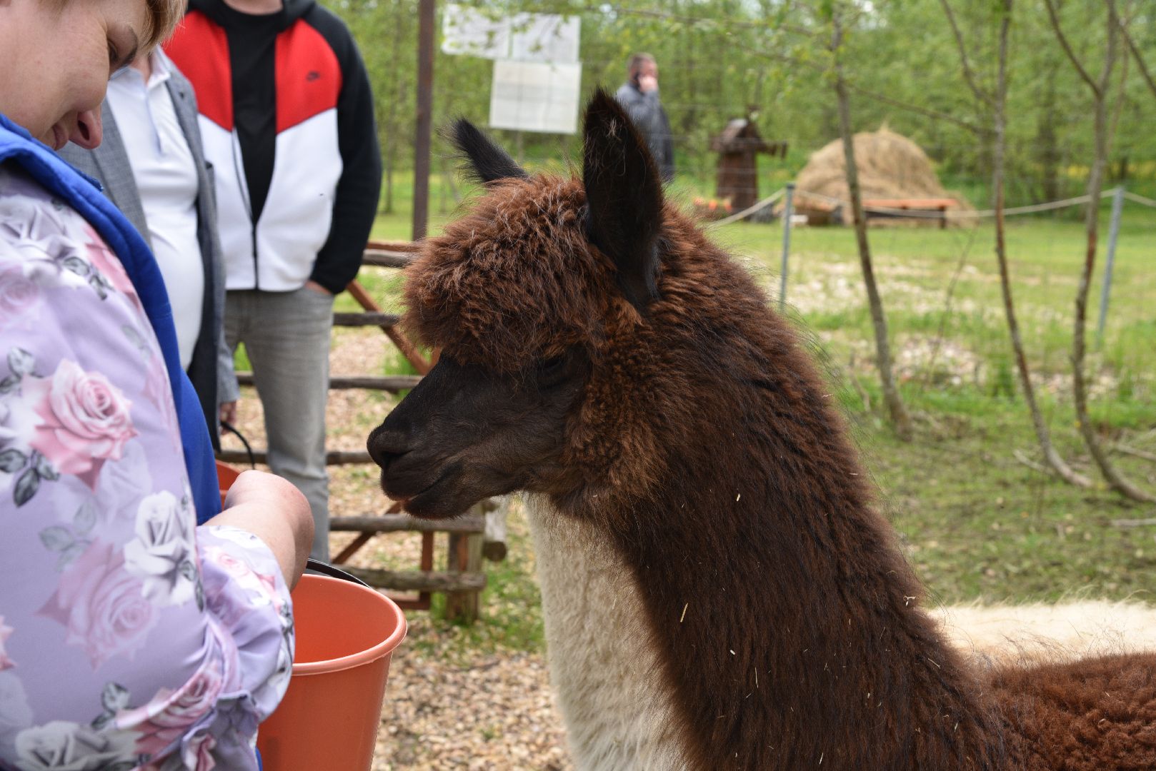 лотошино, шилово, зоопарк, зоопространство,