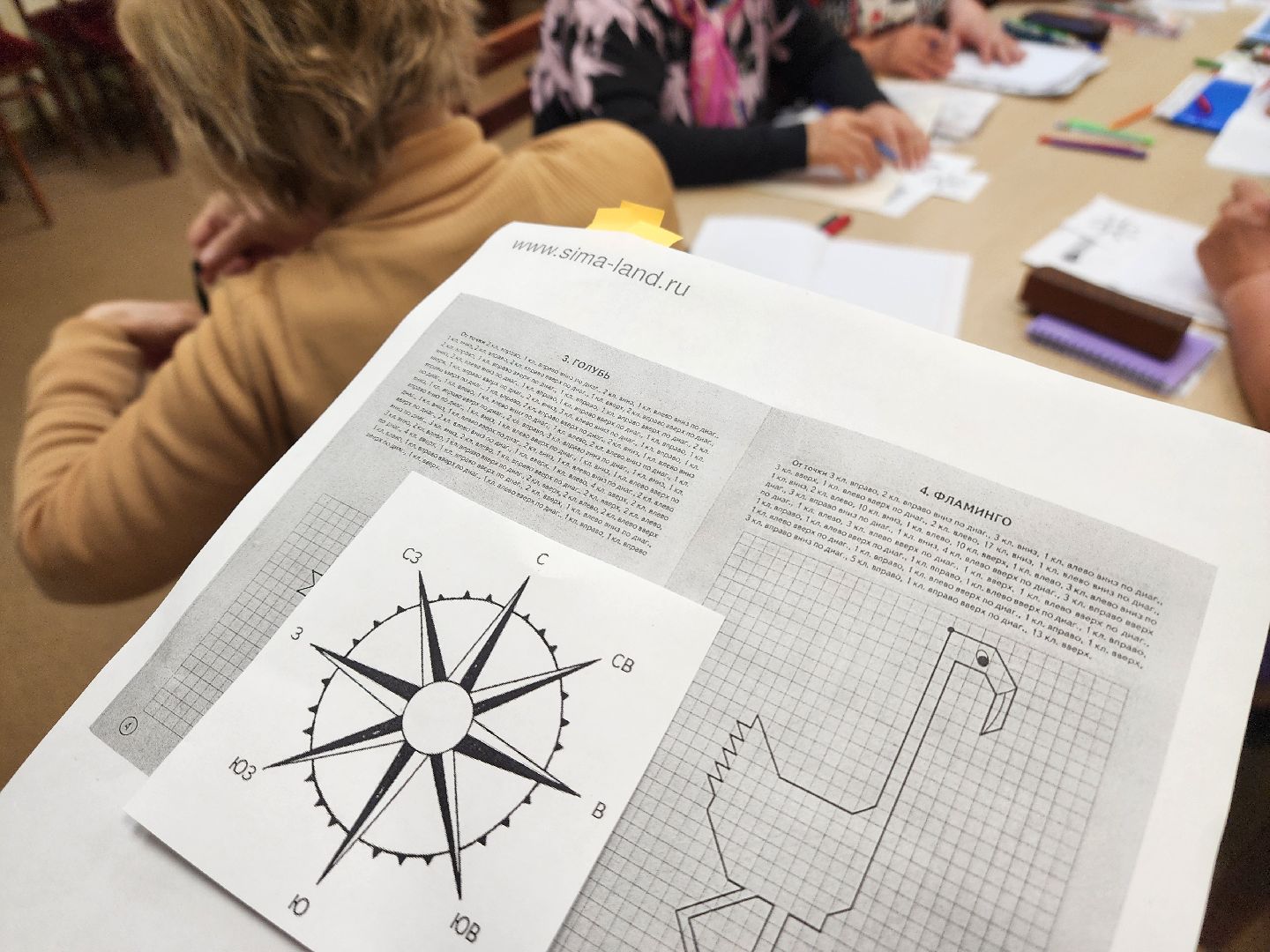 красноармейск, городской округ пушкинский, активное долголетие, нейробика,