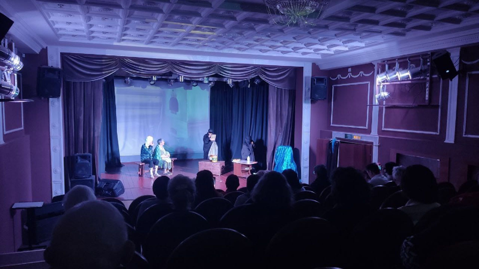 вертикалки, пушкинский округ, театр, режиссеры, постановка, активное долголети, артисты, зрители, театральная мастерская,