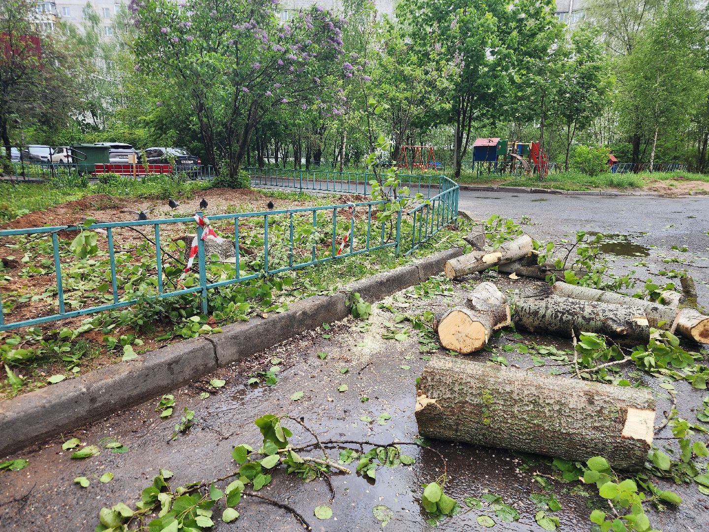 фрязино, удаление деревьев, аварийное дерево,