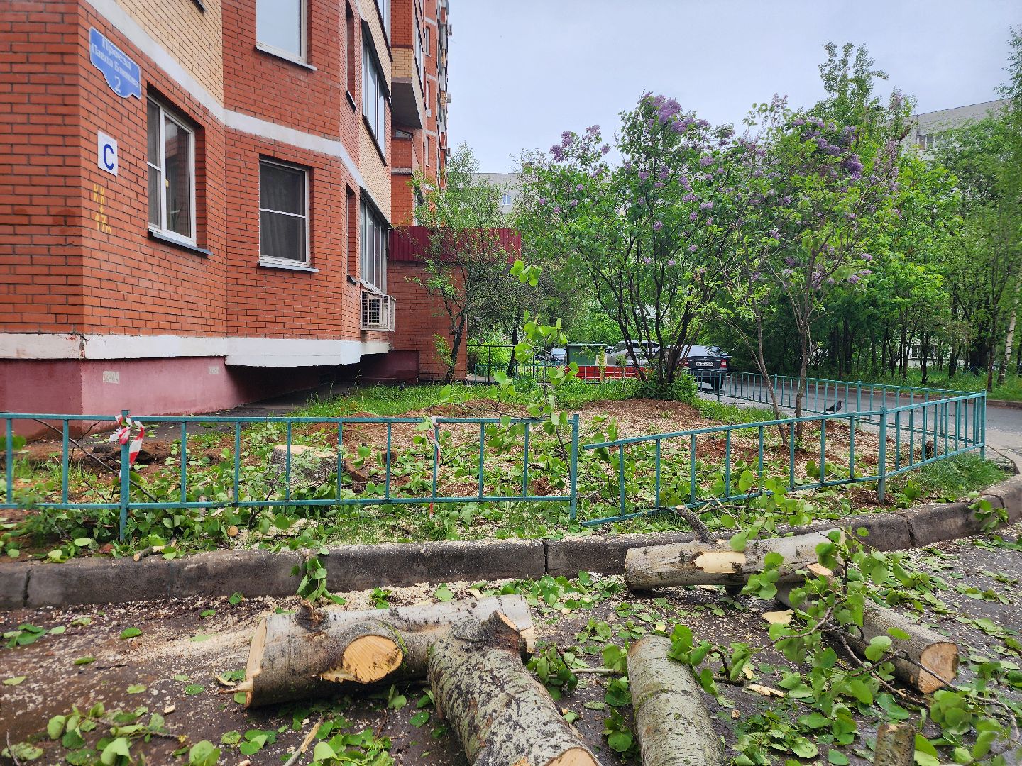 фрязино, удаление деревьев, аварийное дерево,