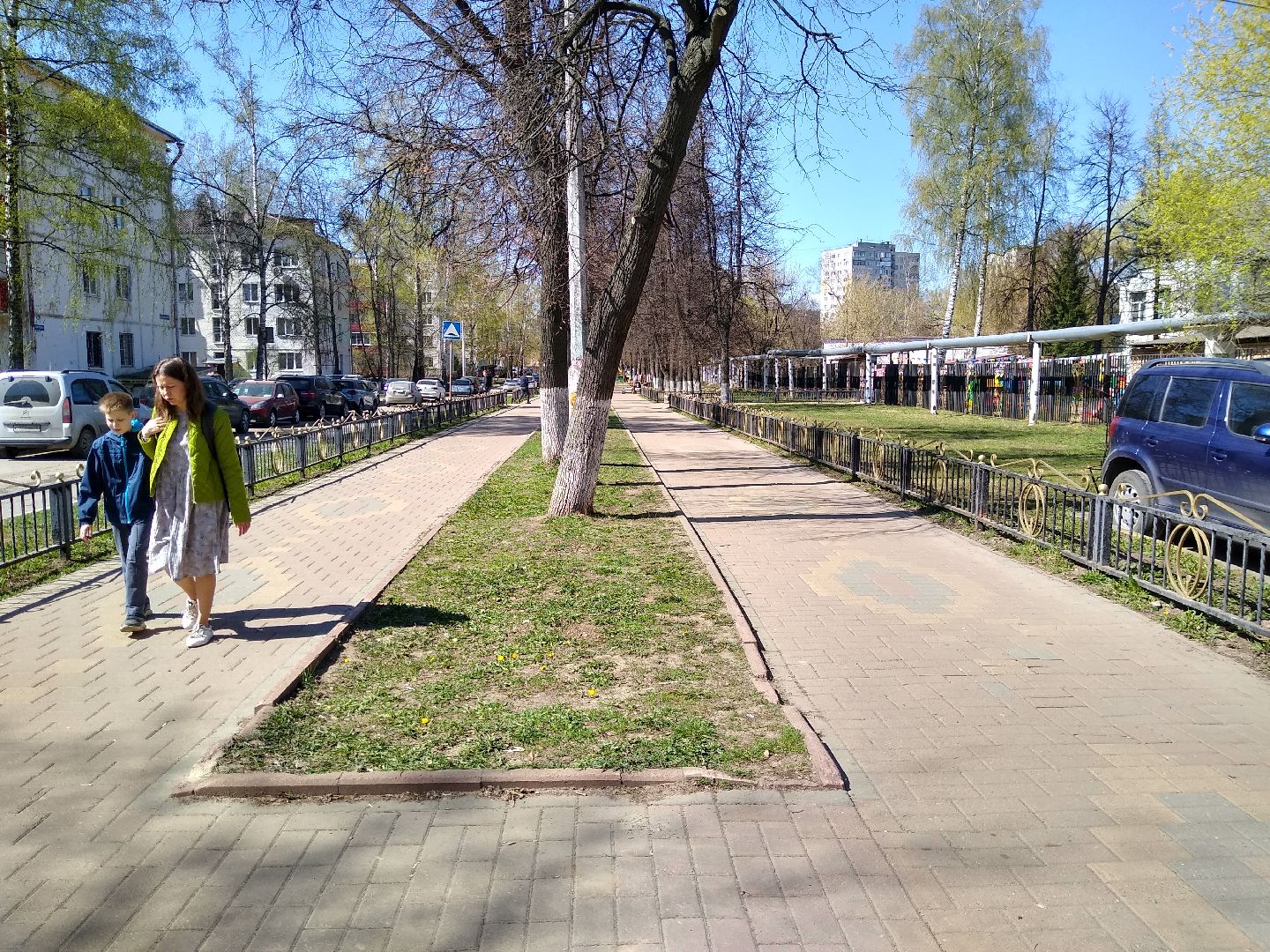 Раменское, благоустройство, голосование,