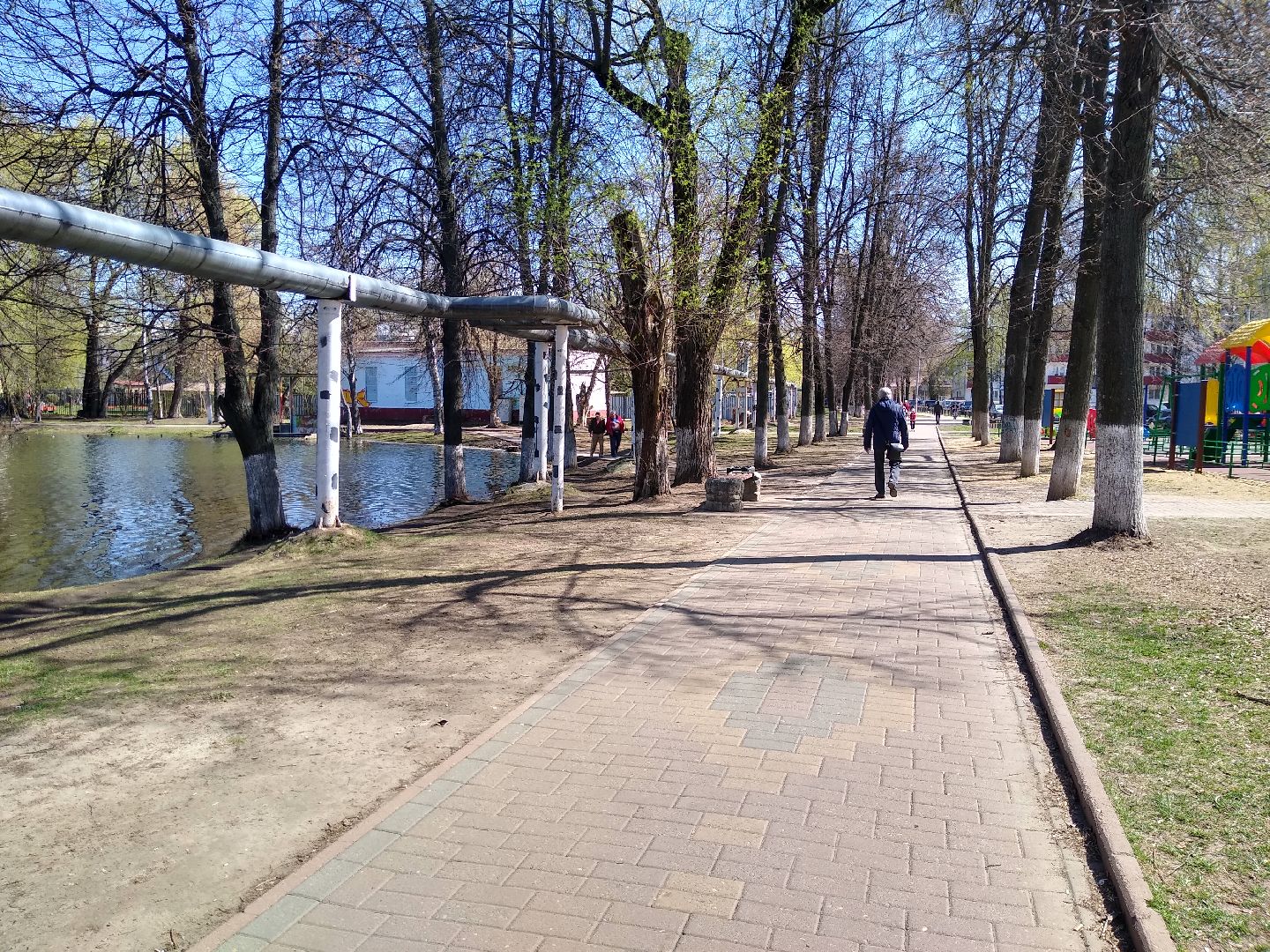 Раменское, благоустройство, голосование,