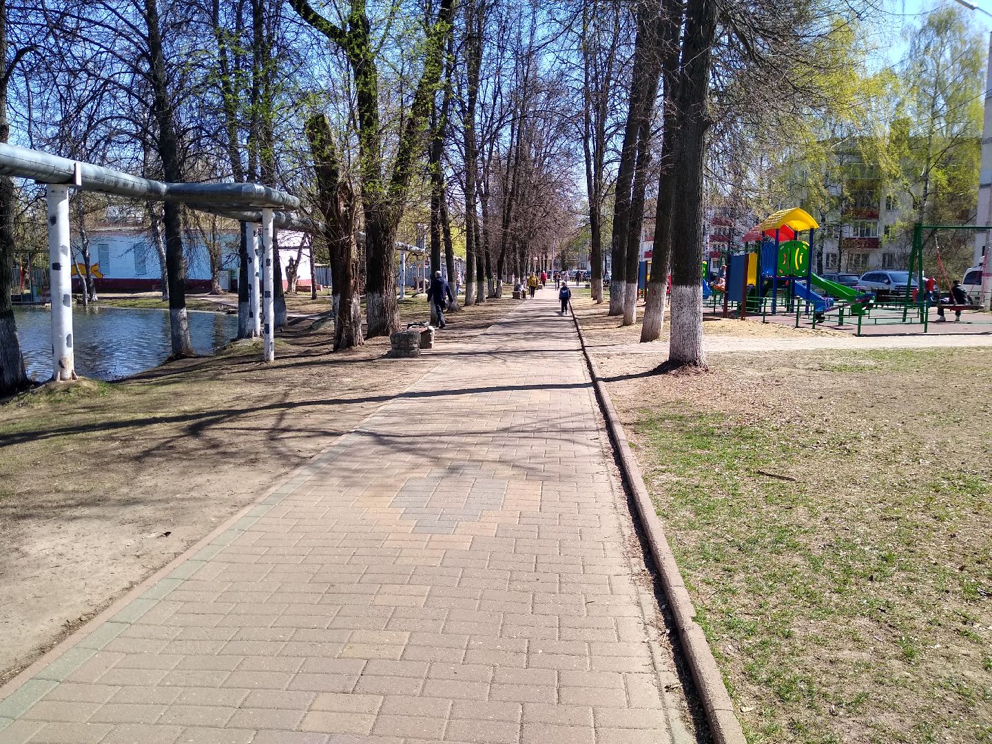 Раменское, благоустройство, голосование,