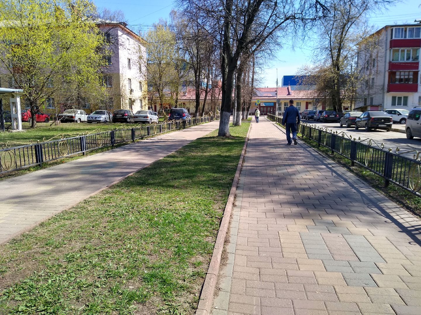 Раменское, благоустройство, голосование,