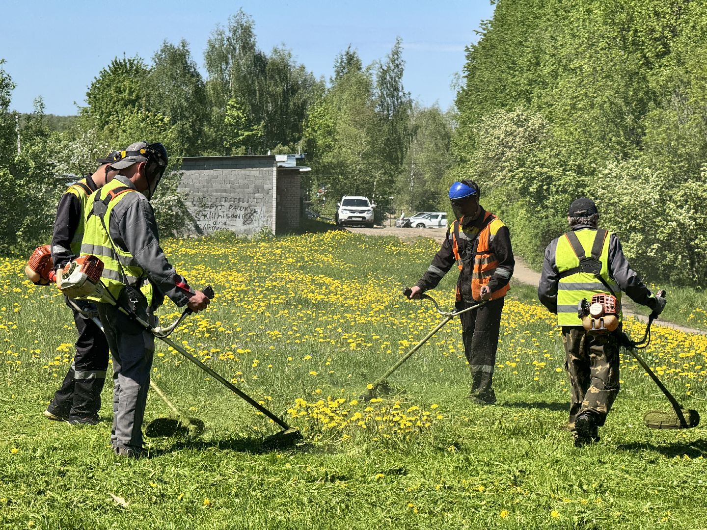 шаховская, покос травы, трава,
