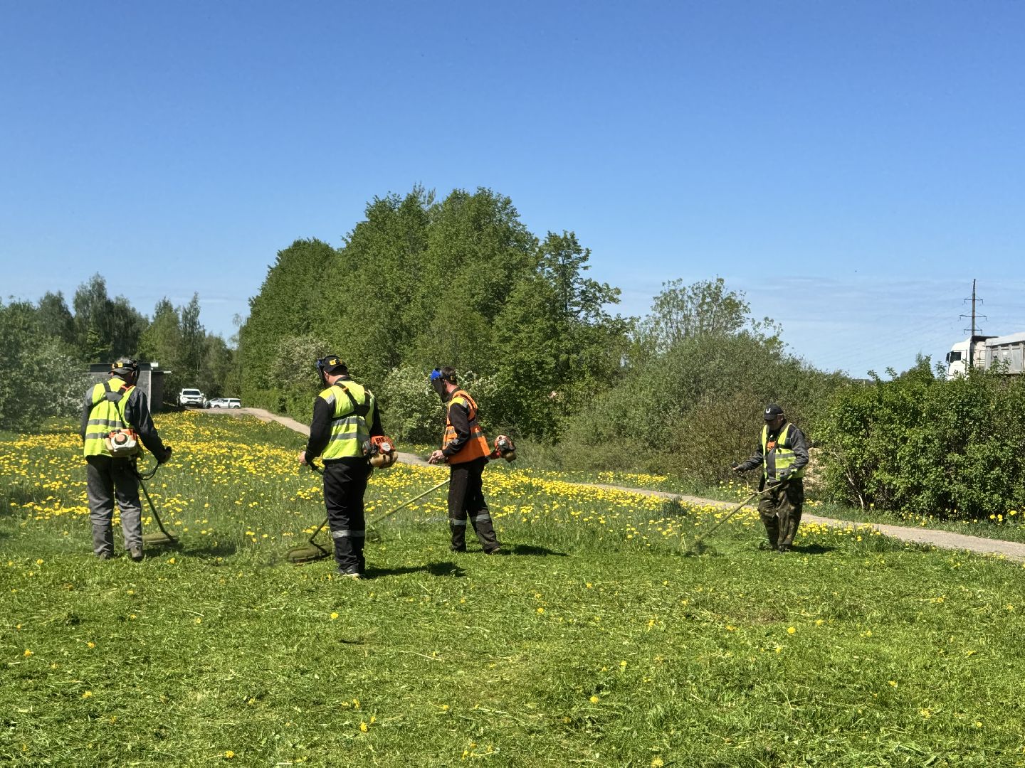 шаховская, покос травы, трава,