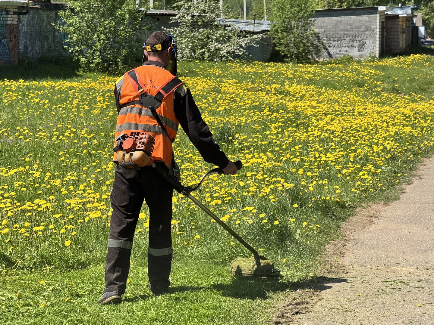 шаховская, покос травы, трава,