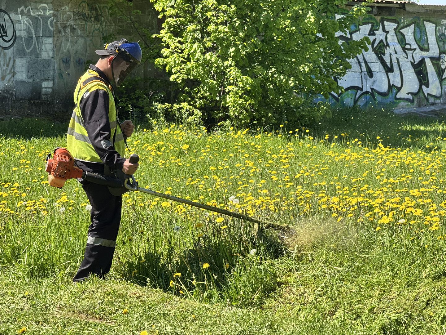 шаховская, покос травы, трава,