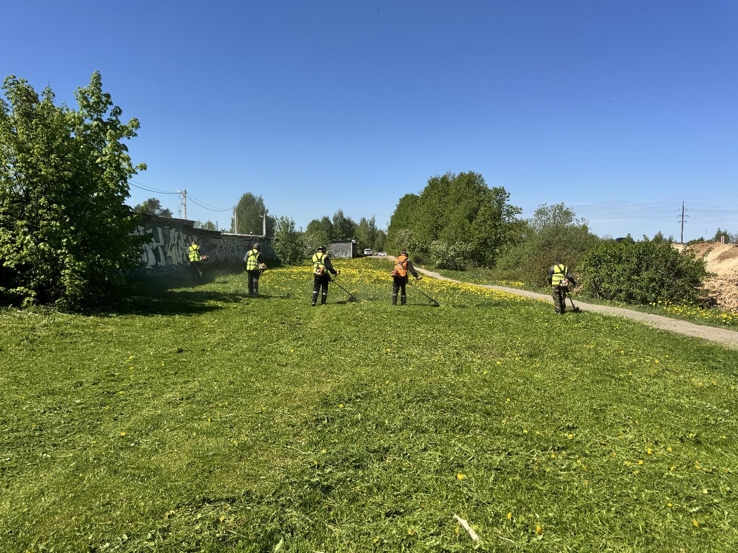 шаховская, покос травы, трава,