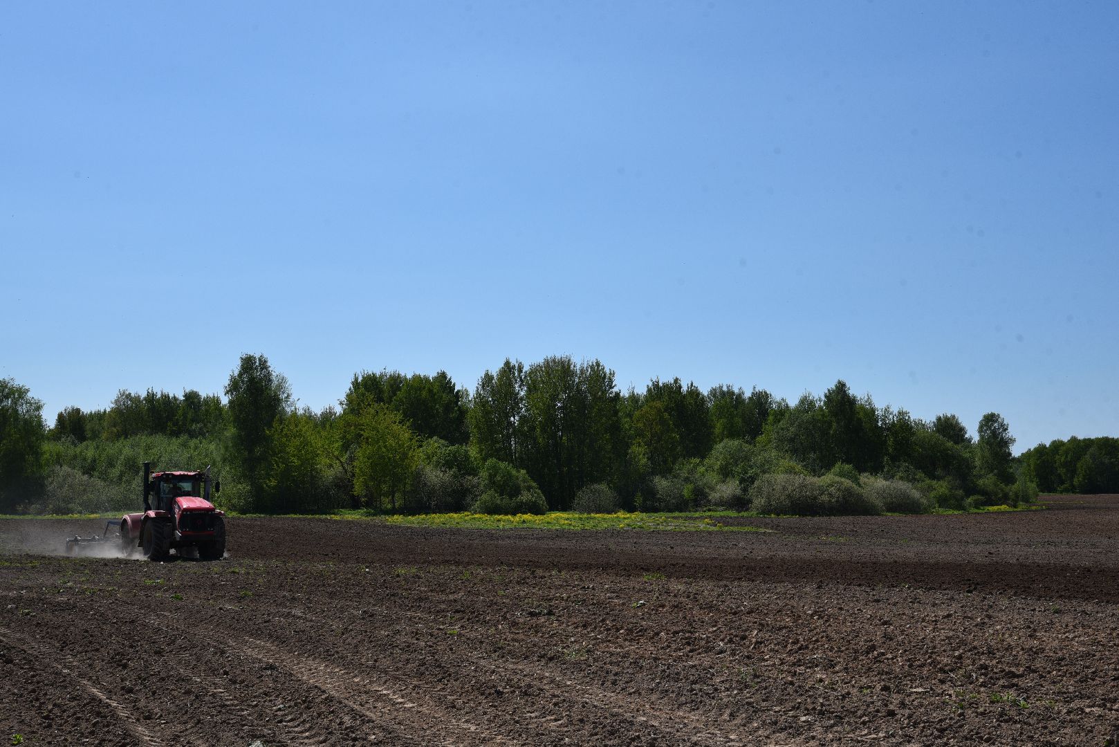 лотошино, сельское хозяйство, аграрии,