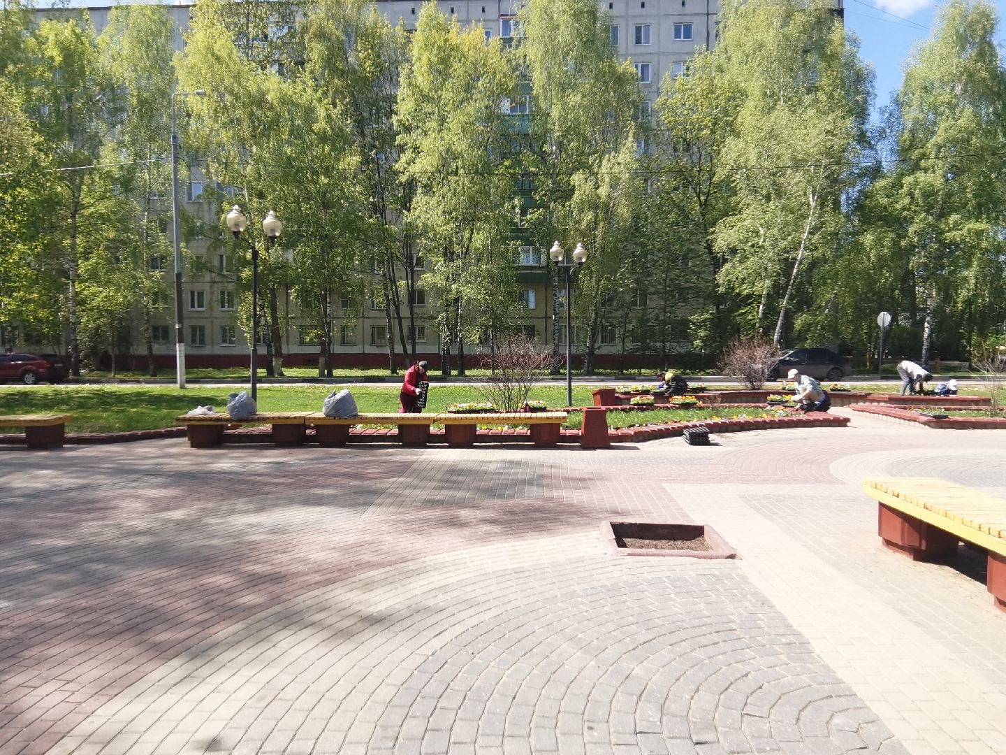 Балашиха, Благоустройство Балашиха, фиалка, анютины глазки, цветы, скверы, парки, однолетние растения, многолетние, сквер 60 лет Октября