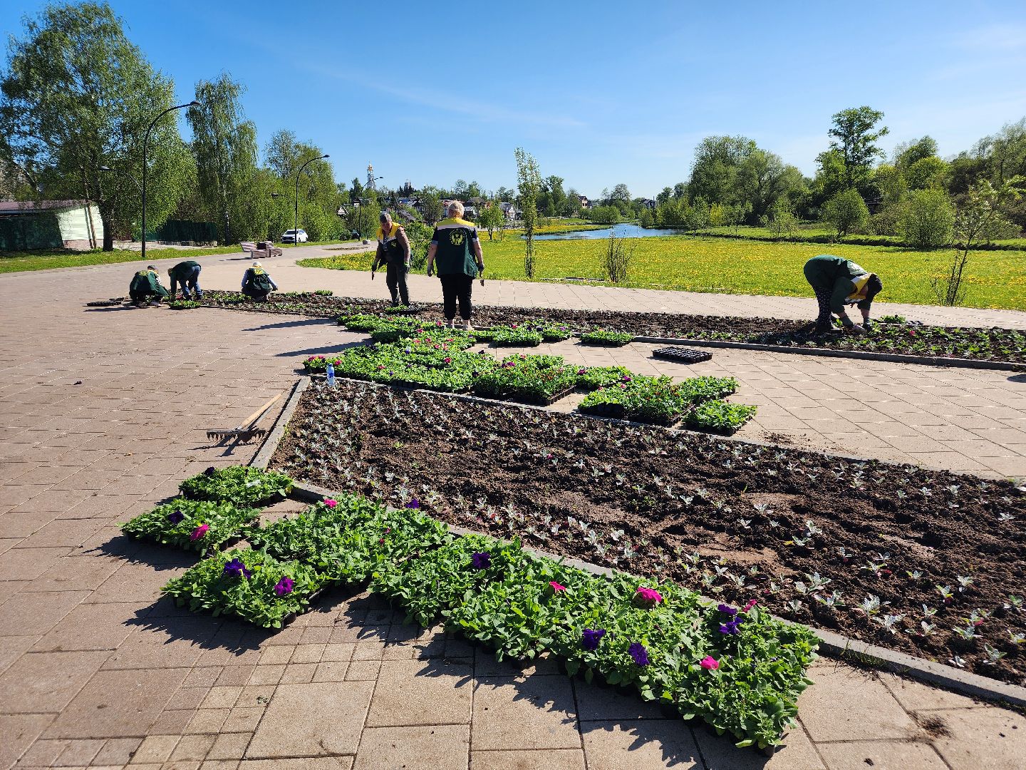 сергиев посад, озеленение, келарская набережная, клумбы,