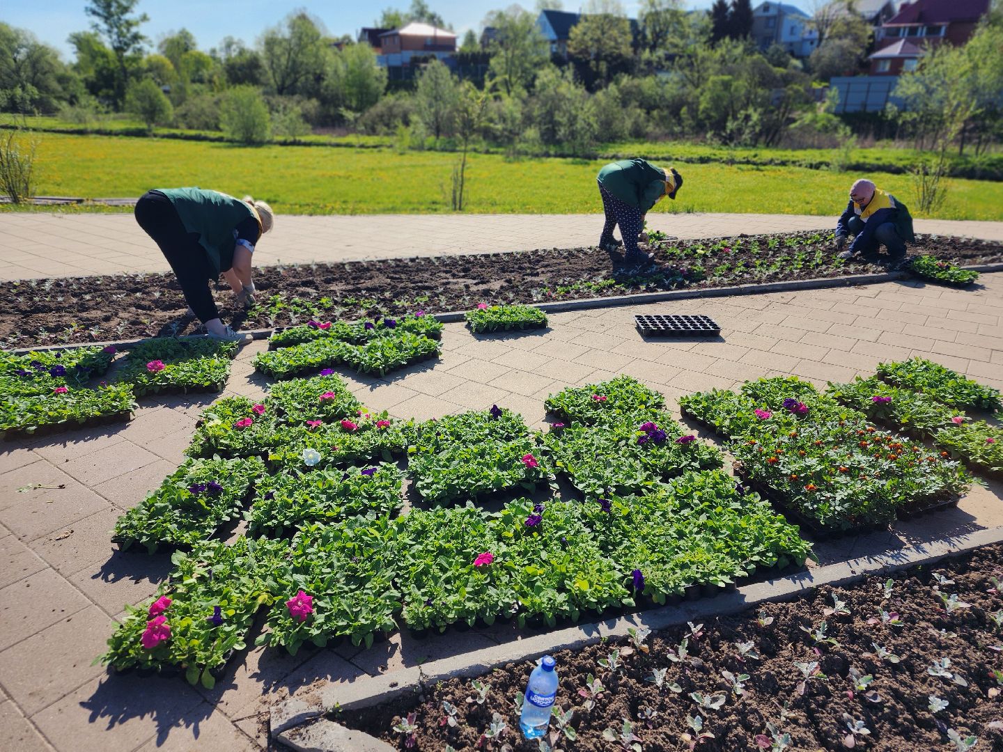 сергиев посад, озеленение, келарская набережная, клумбы,