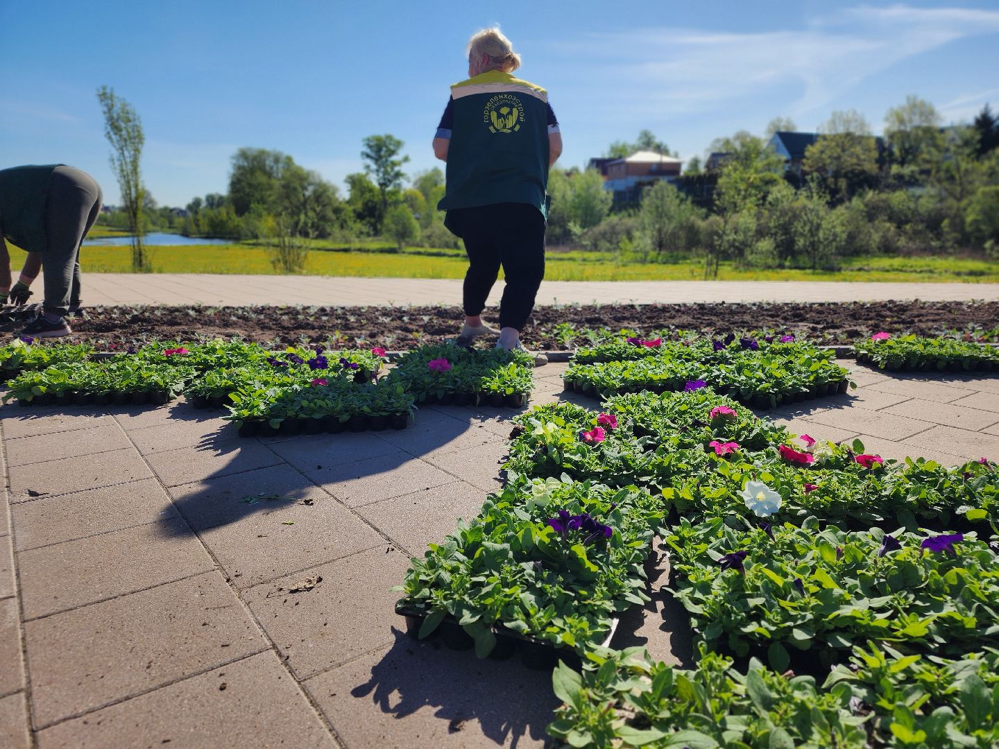 сергиев посад, озеленение, келарская набережная, клумбы,