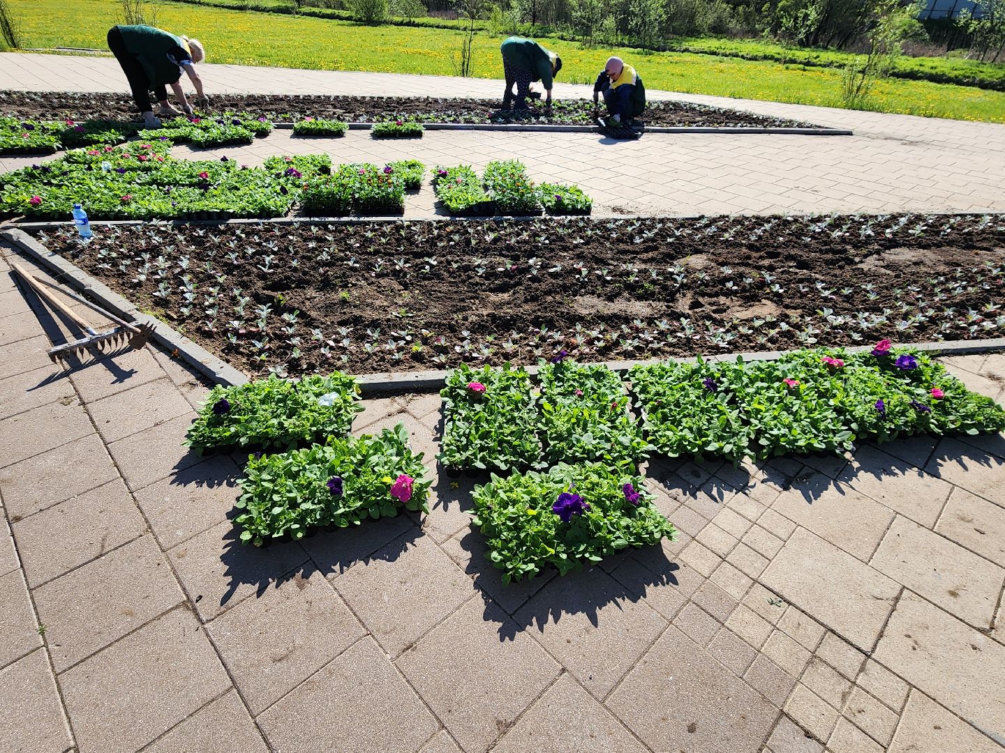 сергиев посад, озеленение, келарская набережная, клумбы,