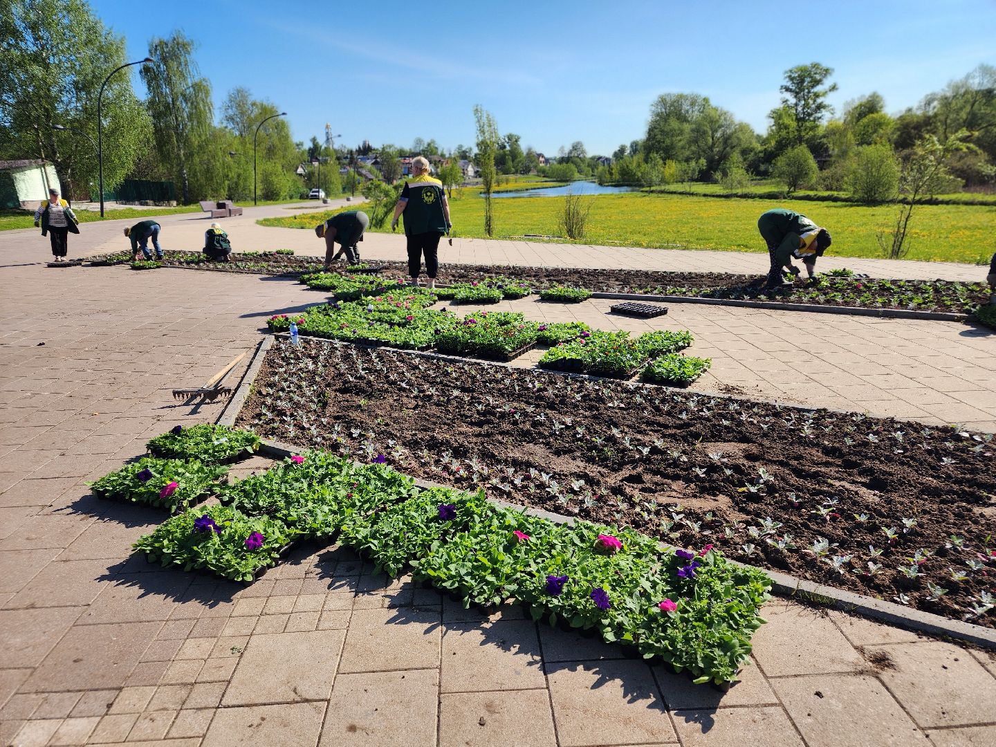 сергиев посад, озеленение, келарская набережная, клумбы,