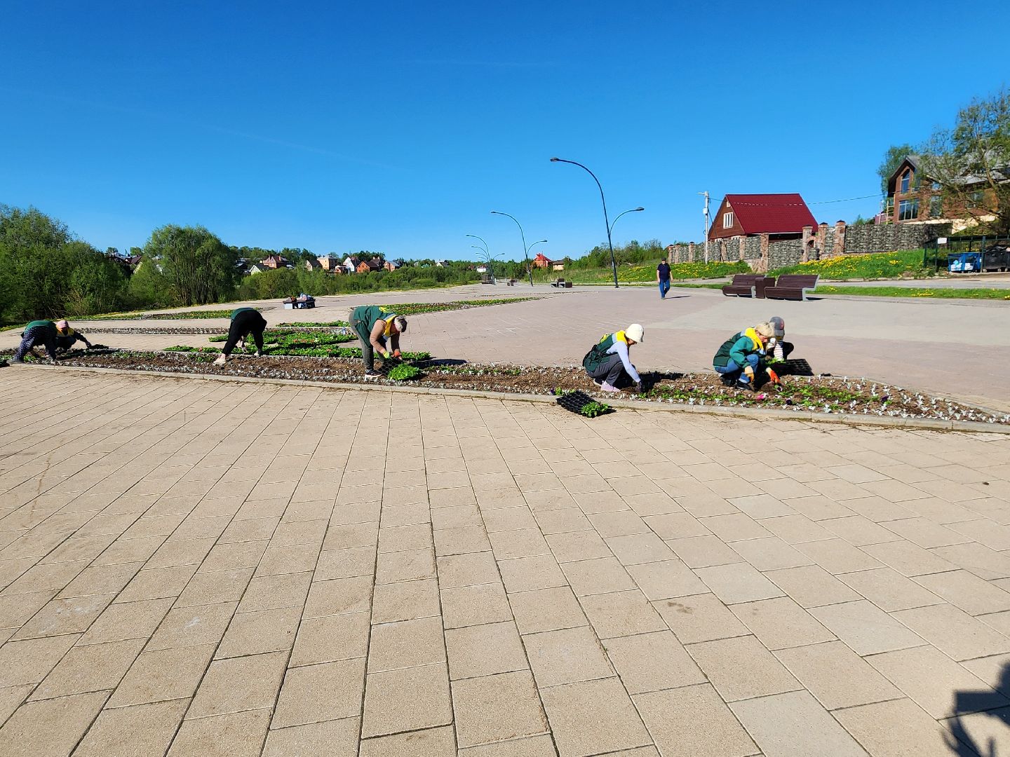 сергиев посад, озеленение, келарская набережная, клумбы,