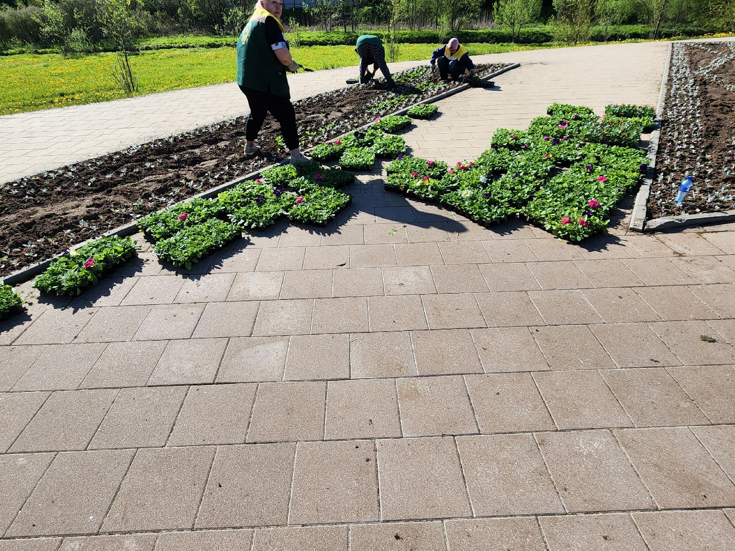 сергиев посад, озеленение, келарская набережная, клумбы,
