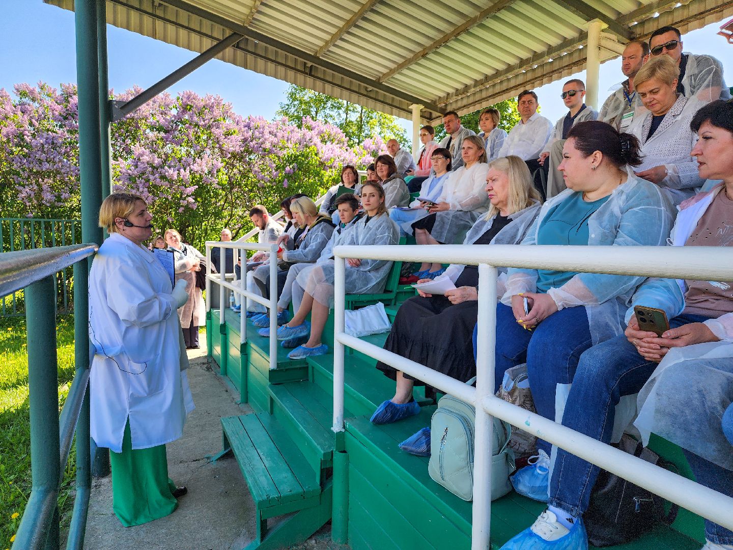 Подольск, сельское хозяйство, выводка быков,животноводство,