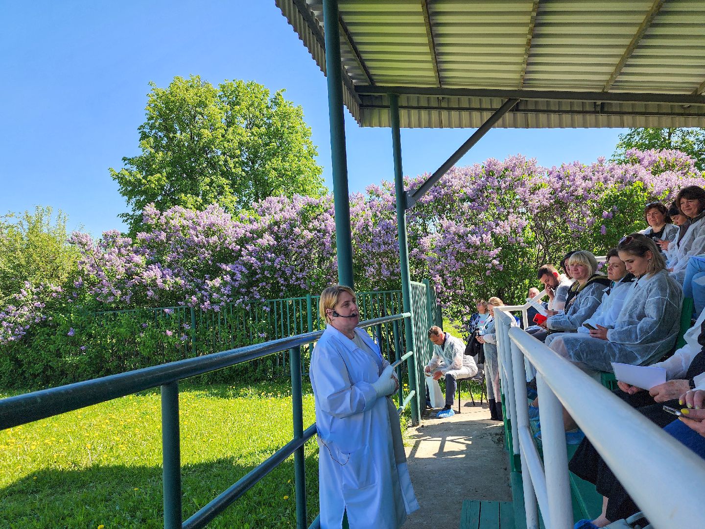 Подольск, сельское хозяйство, выводка быков,животноводство,