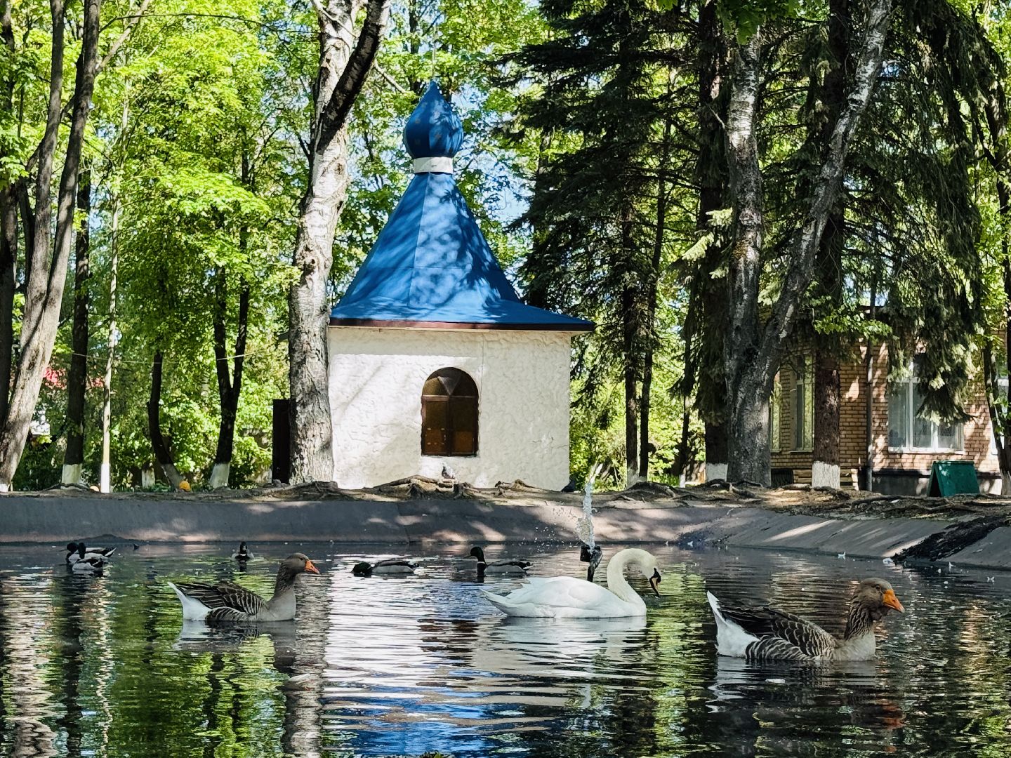 раменское, гжель, зоопарк,