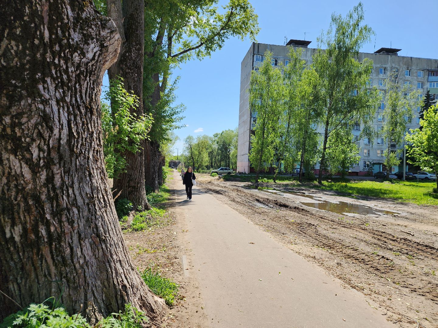 лиаз парк, ликино-дулево, орехово-зуевский округ,