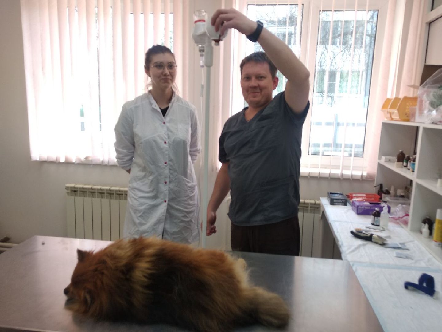 Дмитров, Ветеринарная станция, Минсельхоз МО