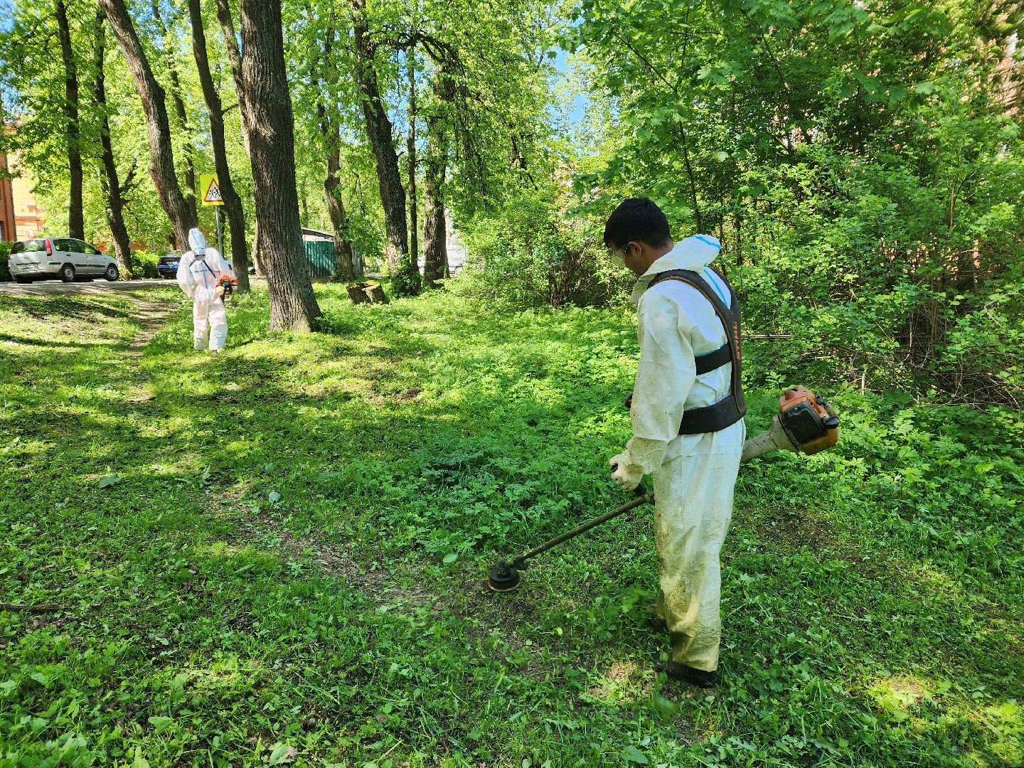 красноармейск, городской округ пушкинский, покос травы, благоустройство 2025,