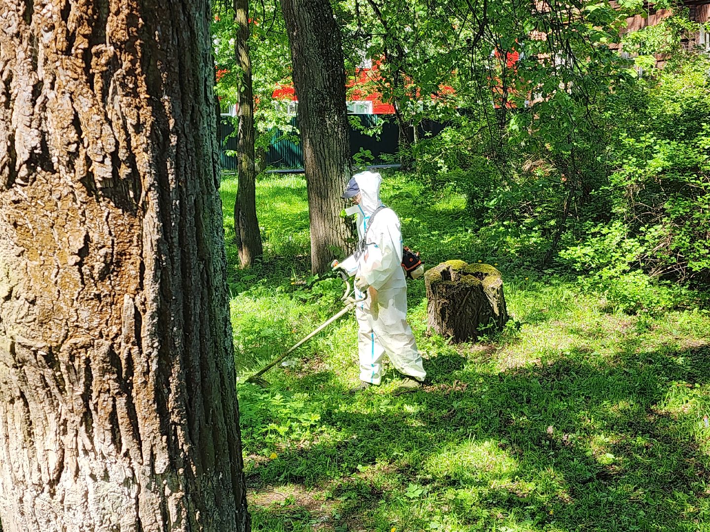 красноармейск, городской округ пушкинский, покос травы, благоустройство 2025,