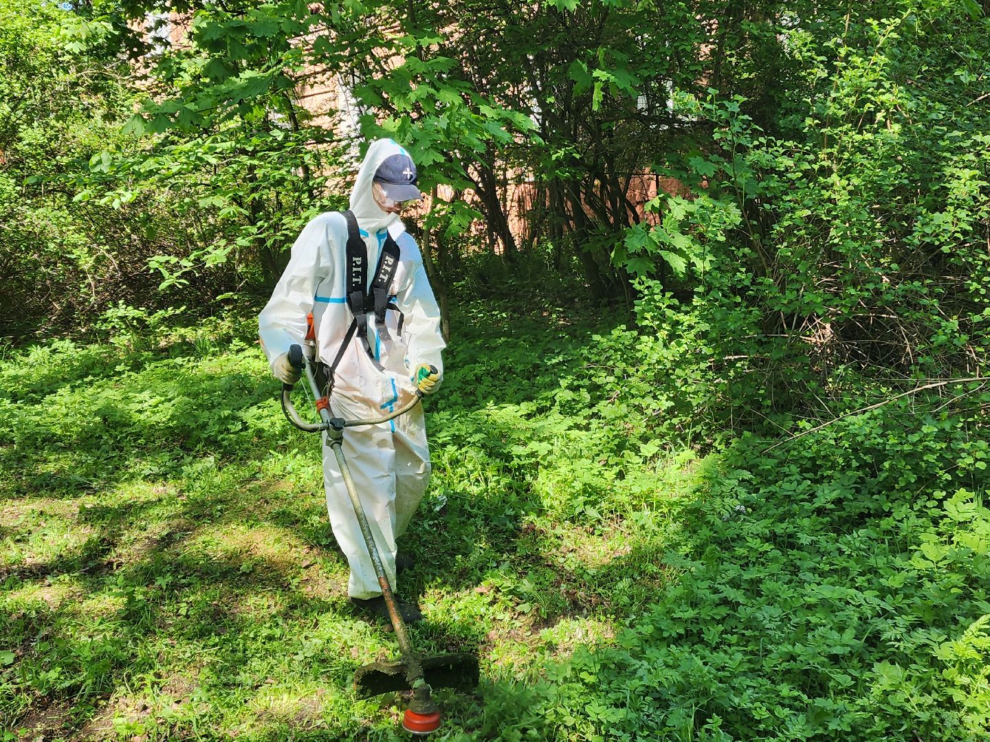 красноармейск, городской округ пушкинский, покос травы, благоустройство 2025,