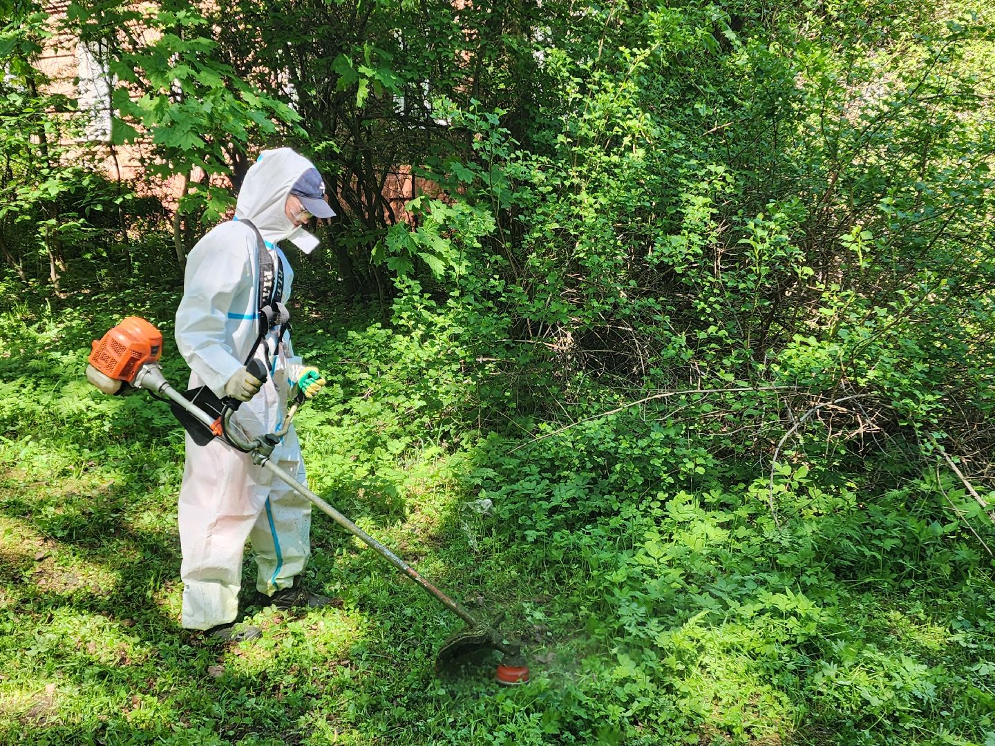 красноармейск, городской округ пушкинский, покос травы, благоустройство 2025,