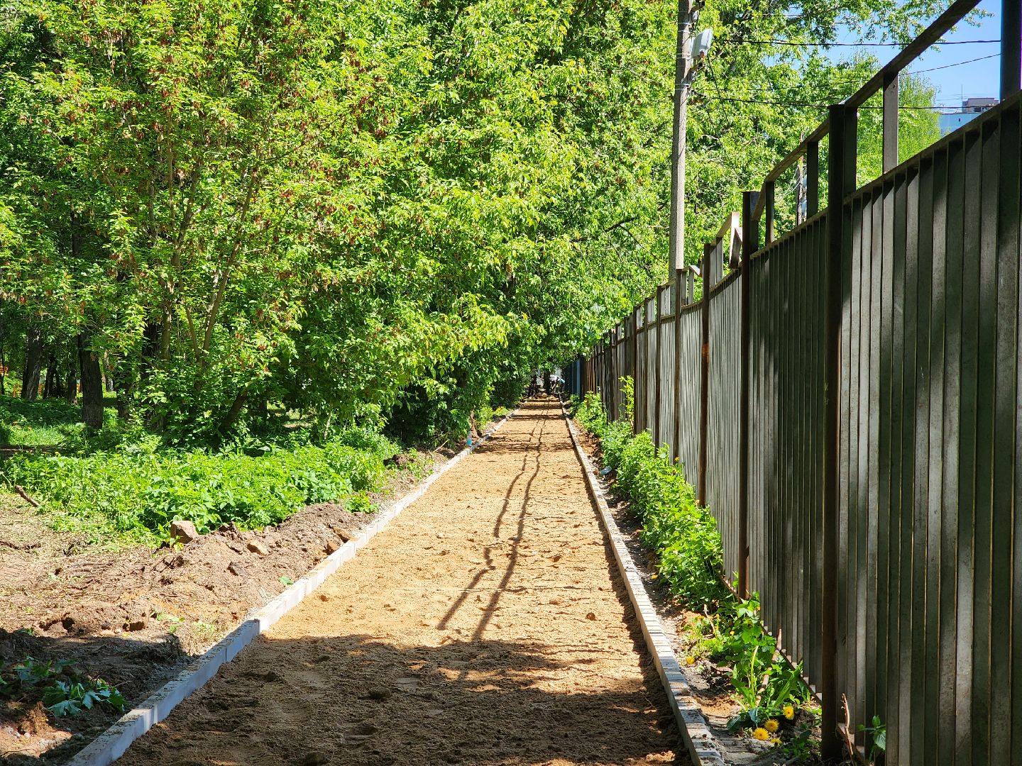 королёв, благоустройство народных троп, губернатор московской области,
