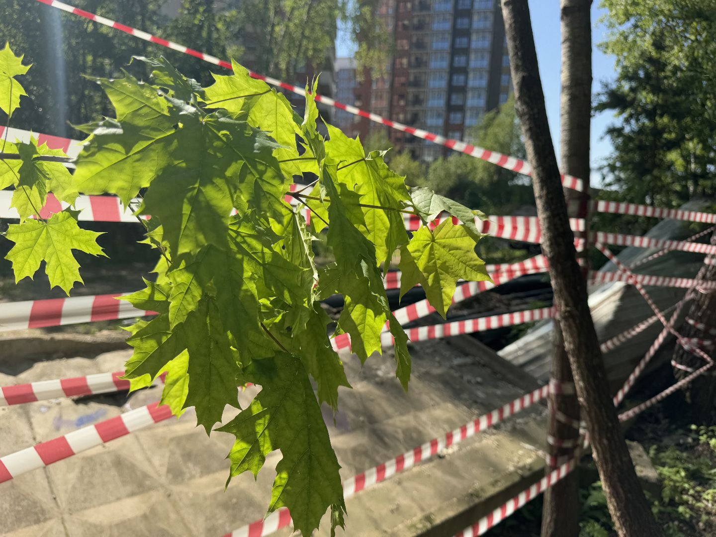 чп, балашиха, военный недострой, стройплощадка,