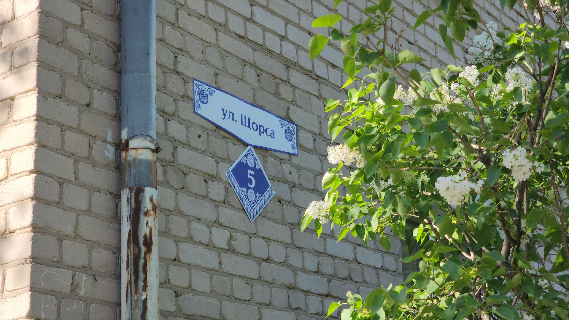 павловский  посад, ремонт, строительство,