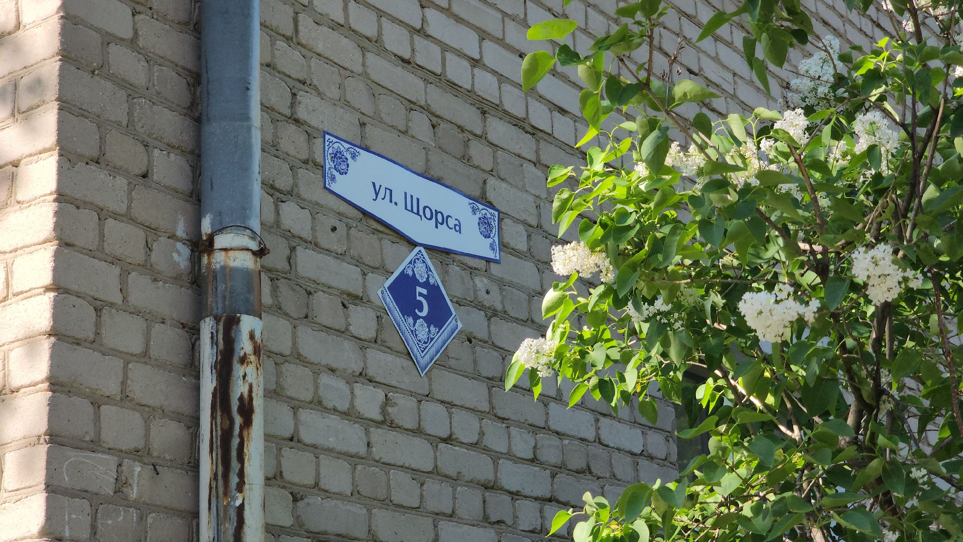 павловский  посад, ремонт, строительство,