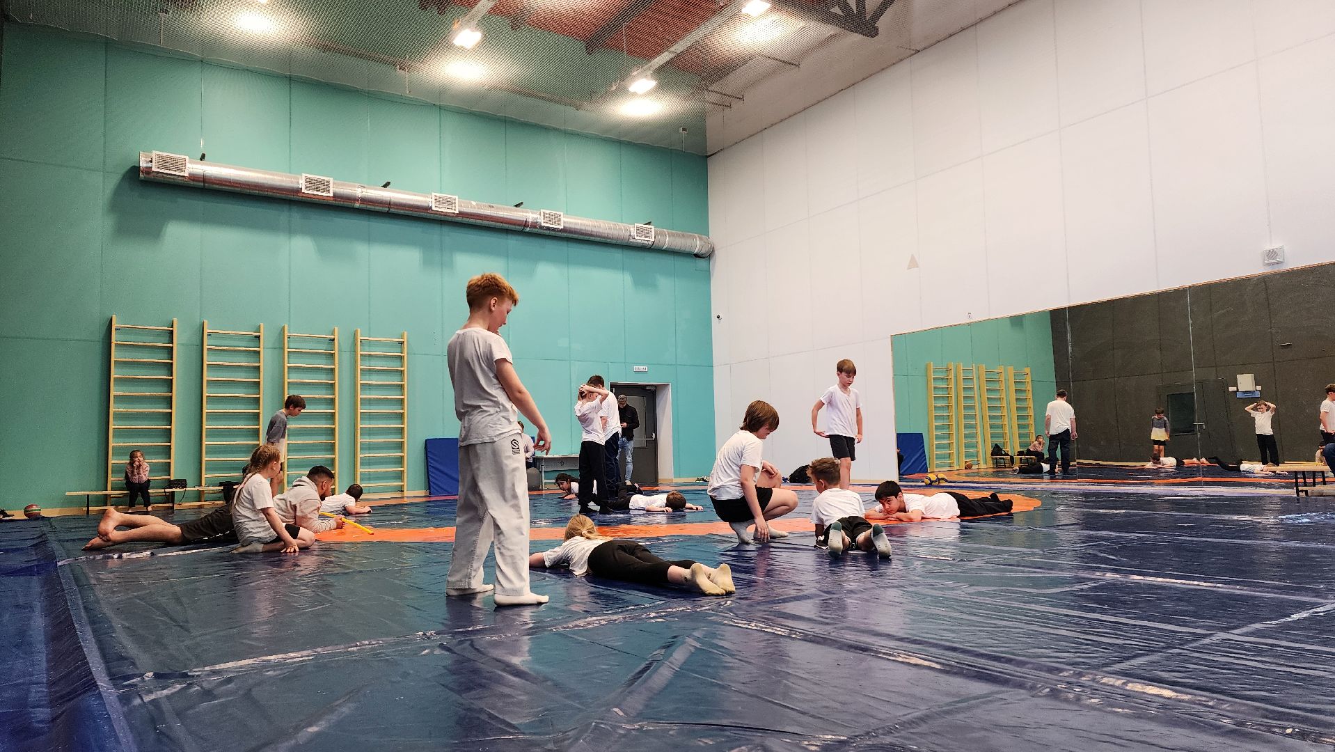 Дзюдо , Лобня , Лицей Авиатика , Федерация Дзюдо и Самбо ,