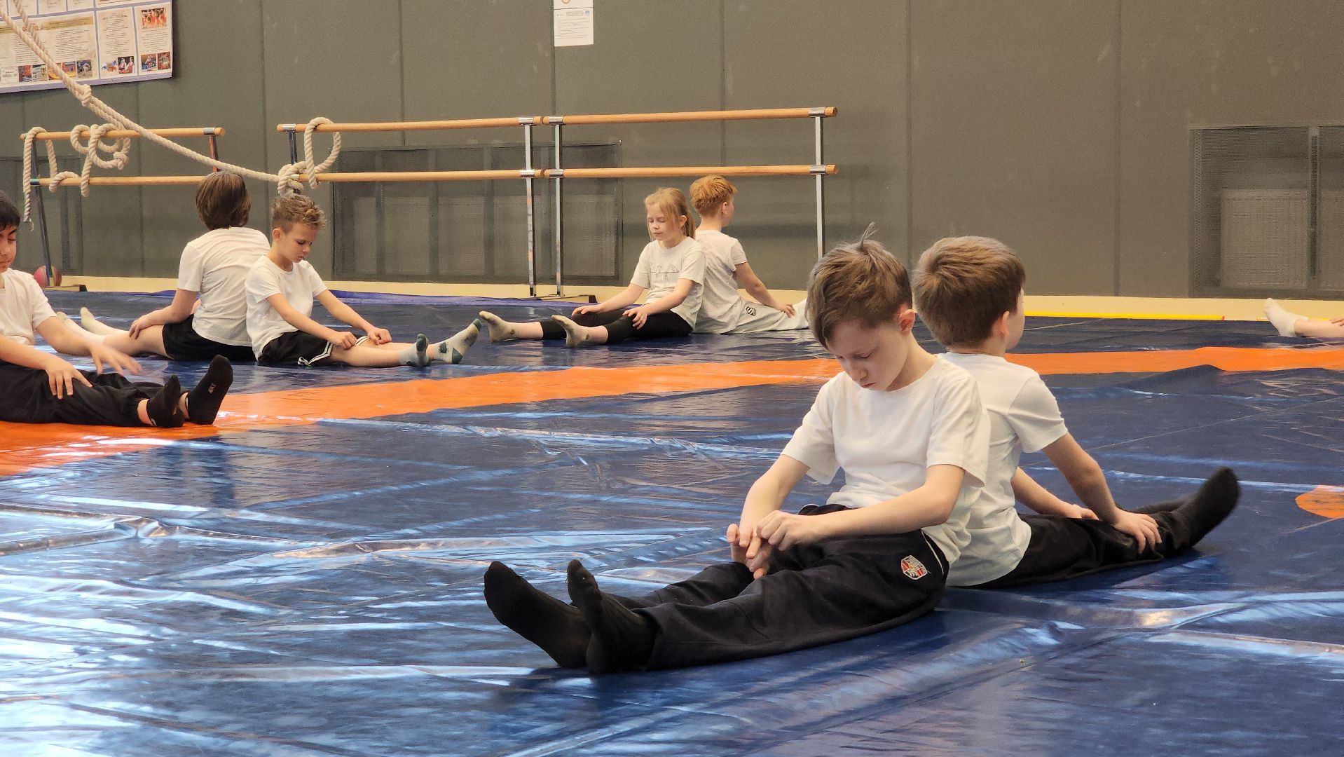 Дзюдо , Лобня , Лицей Авиатика , Федерация Дзюдо и Самбо ,